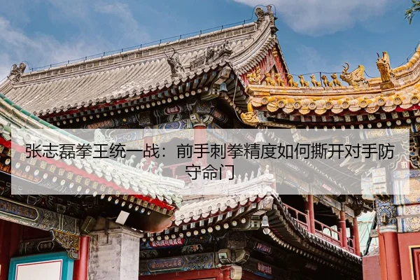 zhang-zhi-lei-quan-wang-tong-yi-zhan-qian-shou-ci-quan-jing-du-ru-he-si-kai-dui-shou-fang-shou-ming-men-2-956.jpg