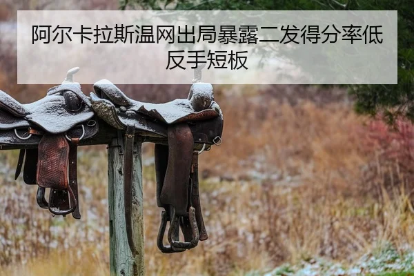a-er-ka-la-si-wen-wang-chu-ju-bao-lu-er-fa-de-fen-lv-di-fan-shou-duan-ban-2-247.jpg