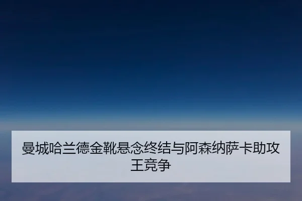 man-cheng-ha-lan-de-jin-xue-xuan-nian-zhong-jie-yu-a-sen-na-sa-ka-zhu-gong-wang-jing-zheng-3-126.jpg