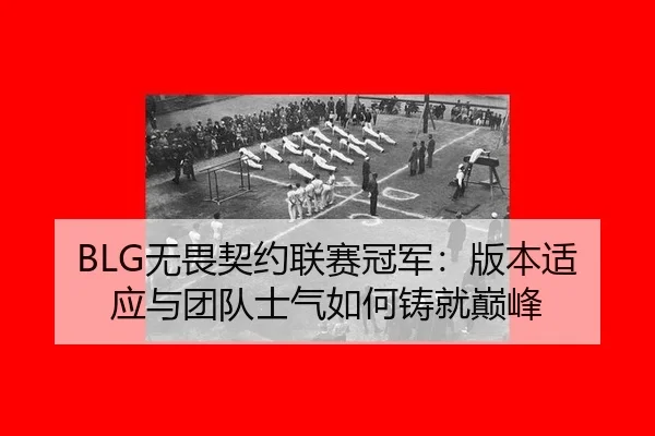 BLG无畏契约联赛冠军：版本适应与团队士气如何铸就巅峰