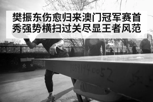樊振东伤愈归来澳门冠军赛首秀强势横扫过关尽显王者风范